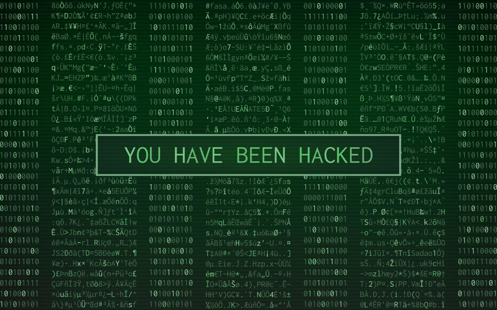 What to Do if Your Website Was Hacked | Mailprotector