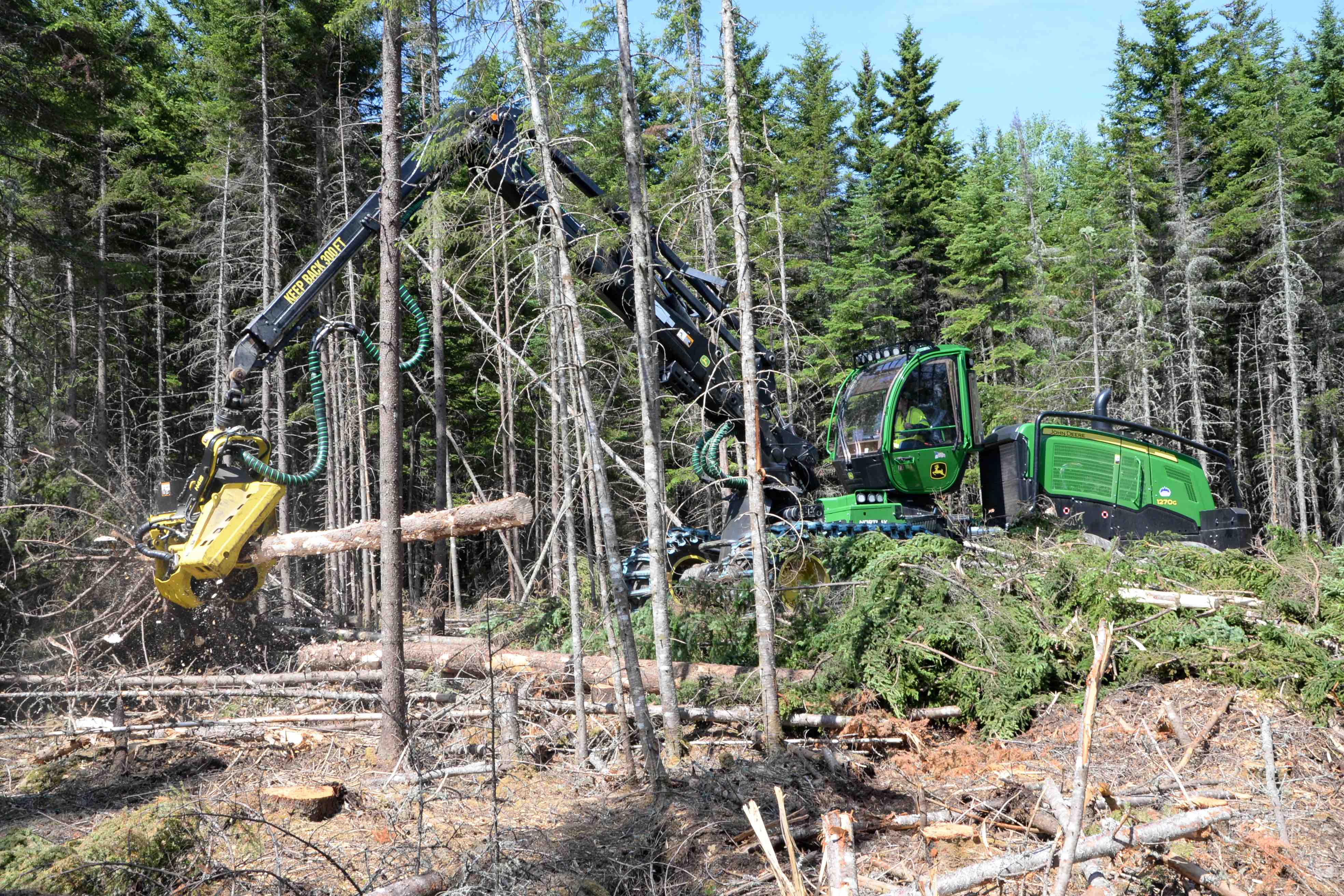 Maine logging industry counting on relief in latest federal COVID19