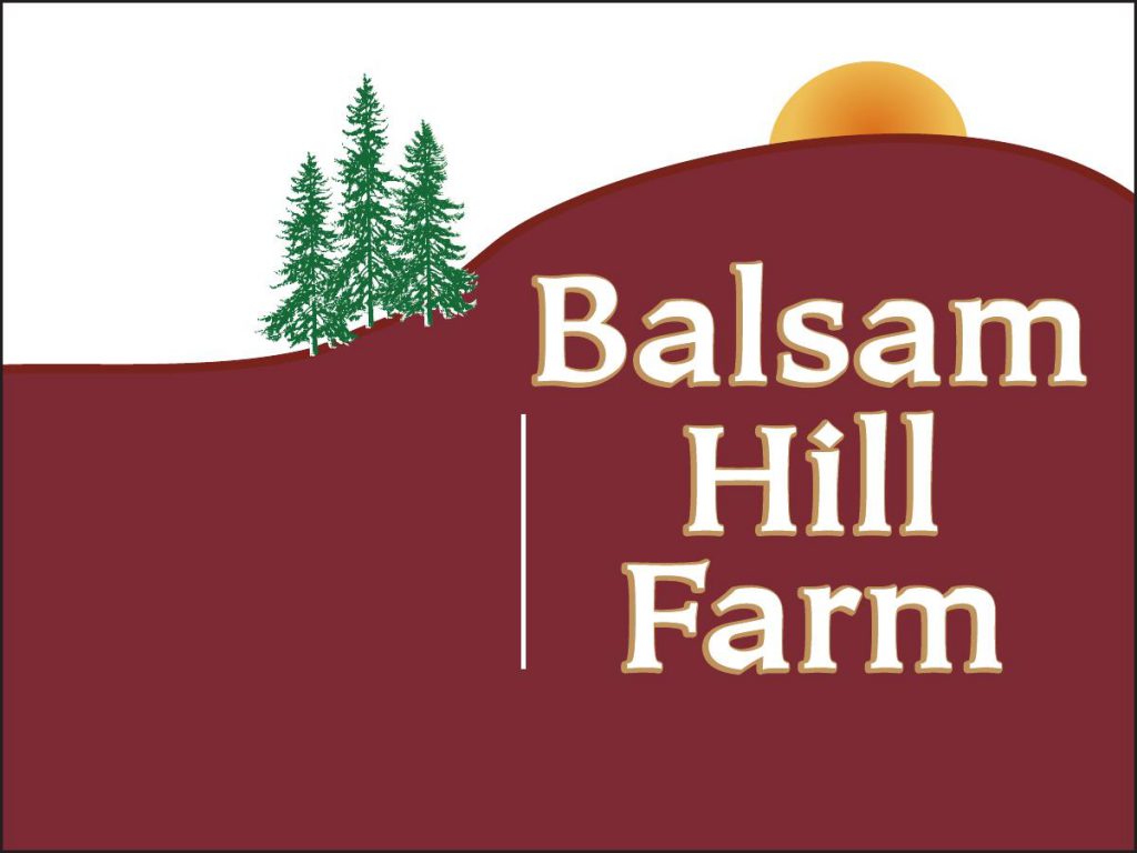 Balsam Hill Farm Maine Christmas Tree Association