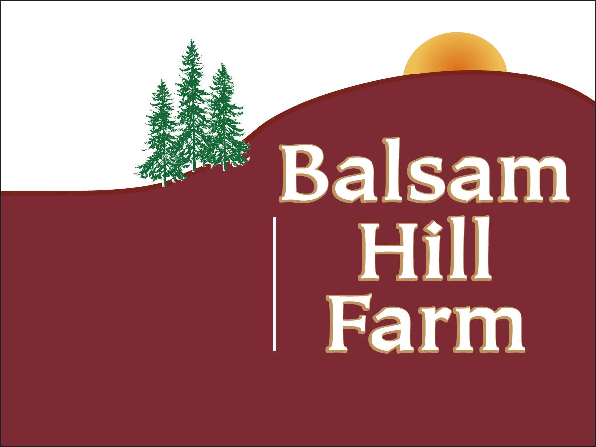 Balsam Hill Farm Maine Christmas Tree Association
