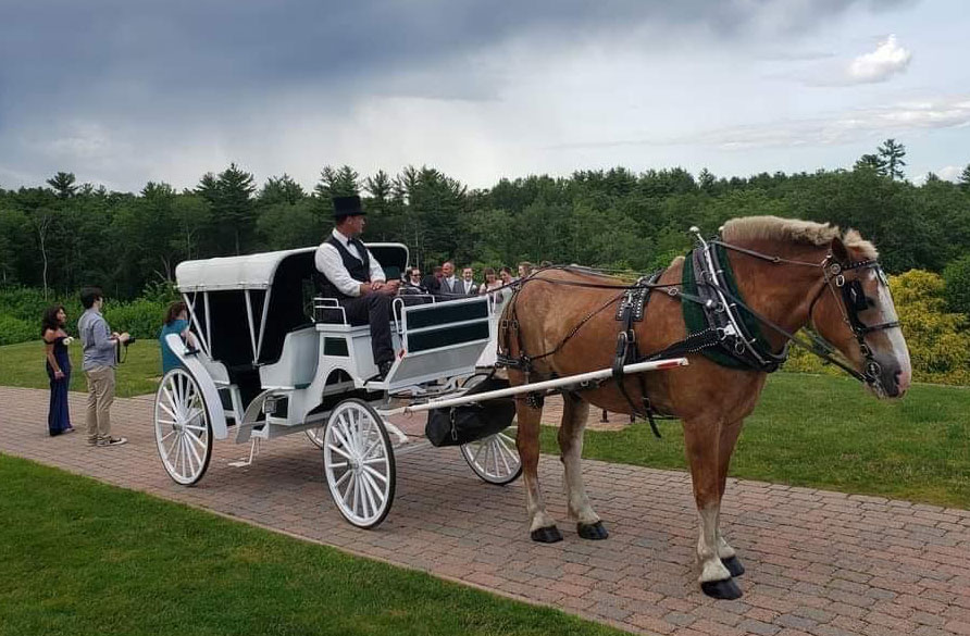 Horse Drawn Carriage Rides MA / Wedding Carriages / Wagon Rides