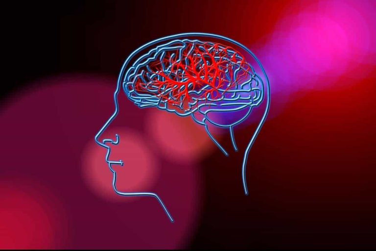 How to Remove Blood Clot in Brain Naturally? Maine News Online