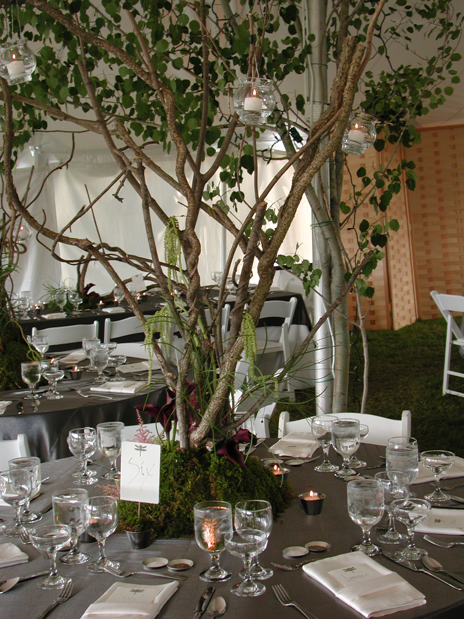 Maine Receptions/Clark's Cove Farm/Vendors