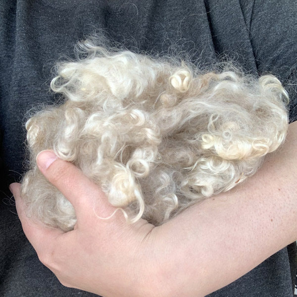 Mohair Natural Champagne Locks Fiber by Betsey Leslie Sabbathday Lake