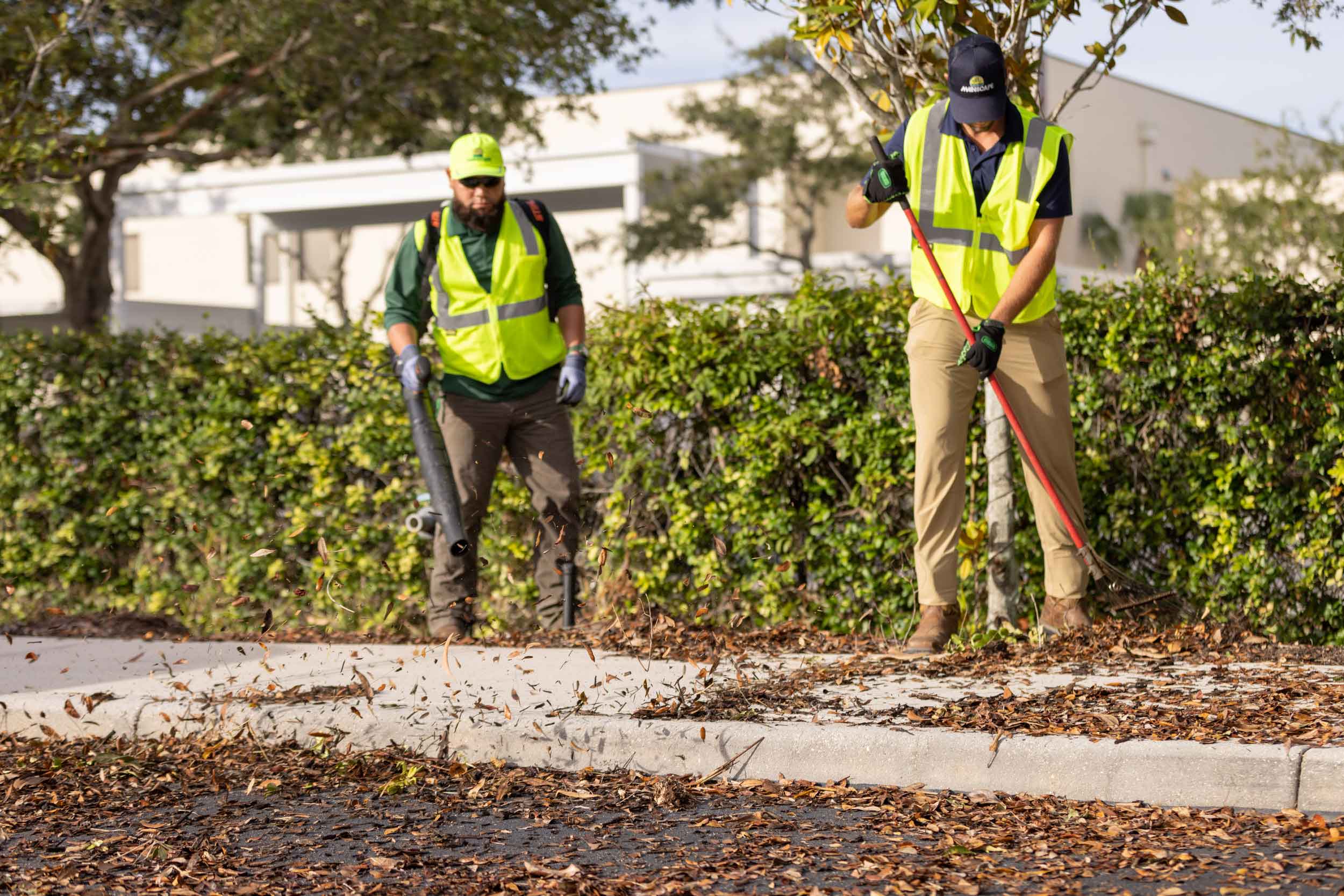 Careers Mainscape Landscape Services