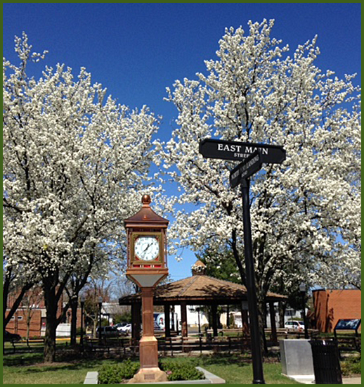 About Us – Main Street Maple Shade
