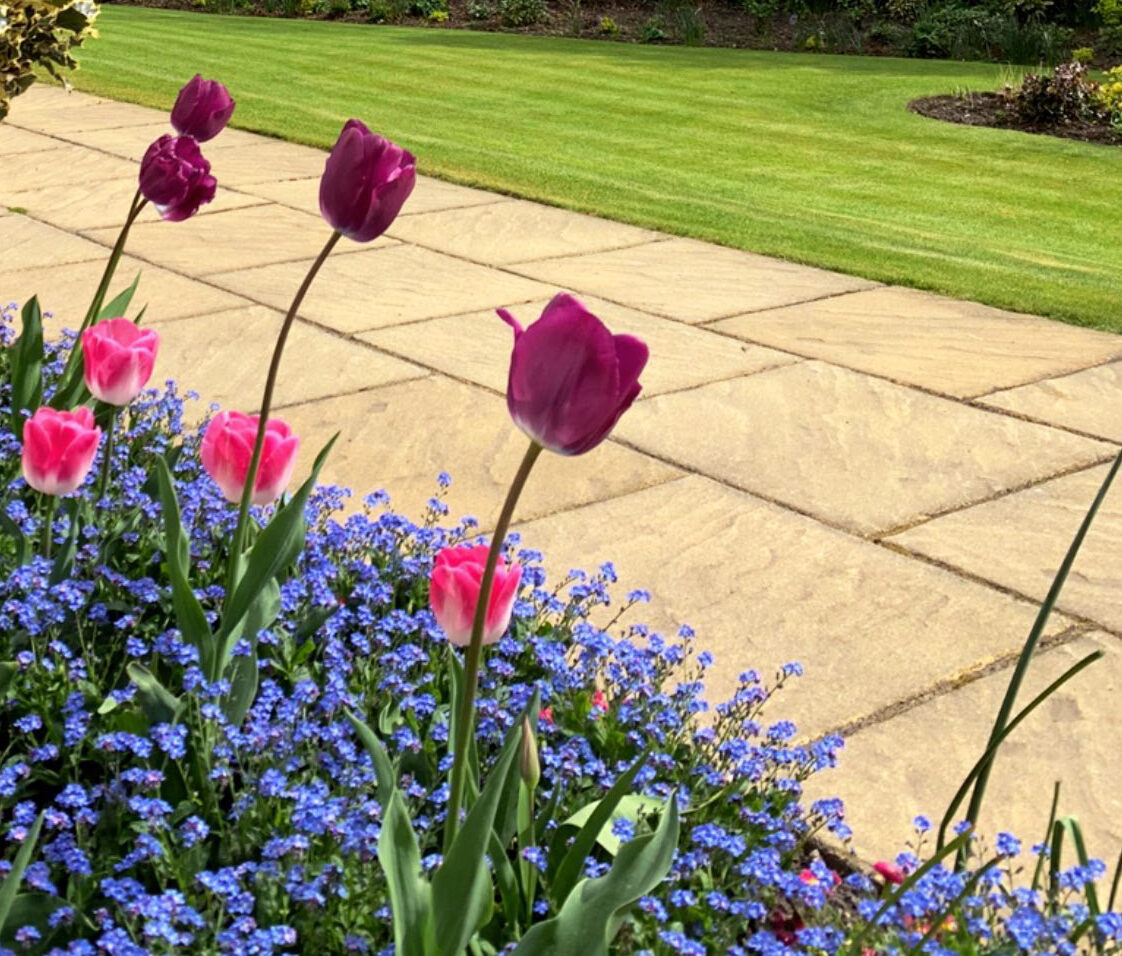 When Do Perennial Plants Return? The Gardeners Guide Maintain Your Garden