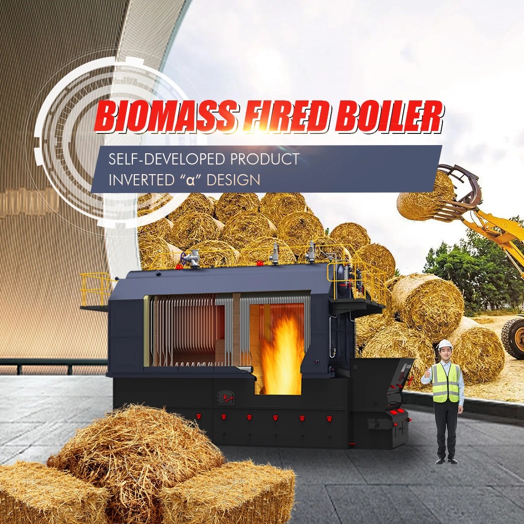 Biomass Boiler Fuel Feeding Systems A Comprehensive Guide