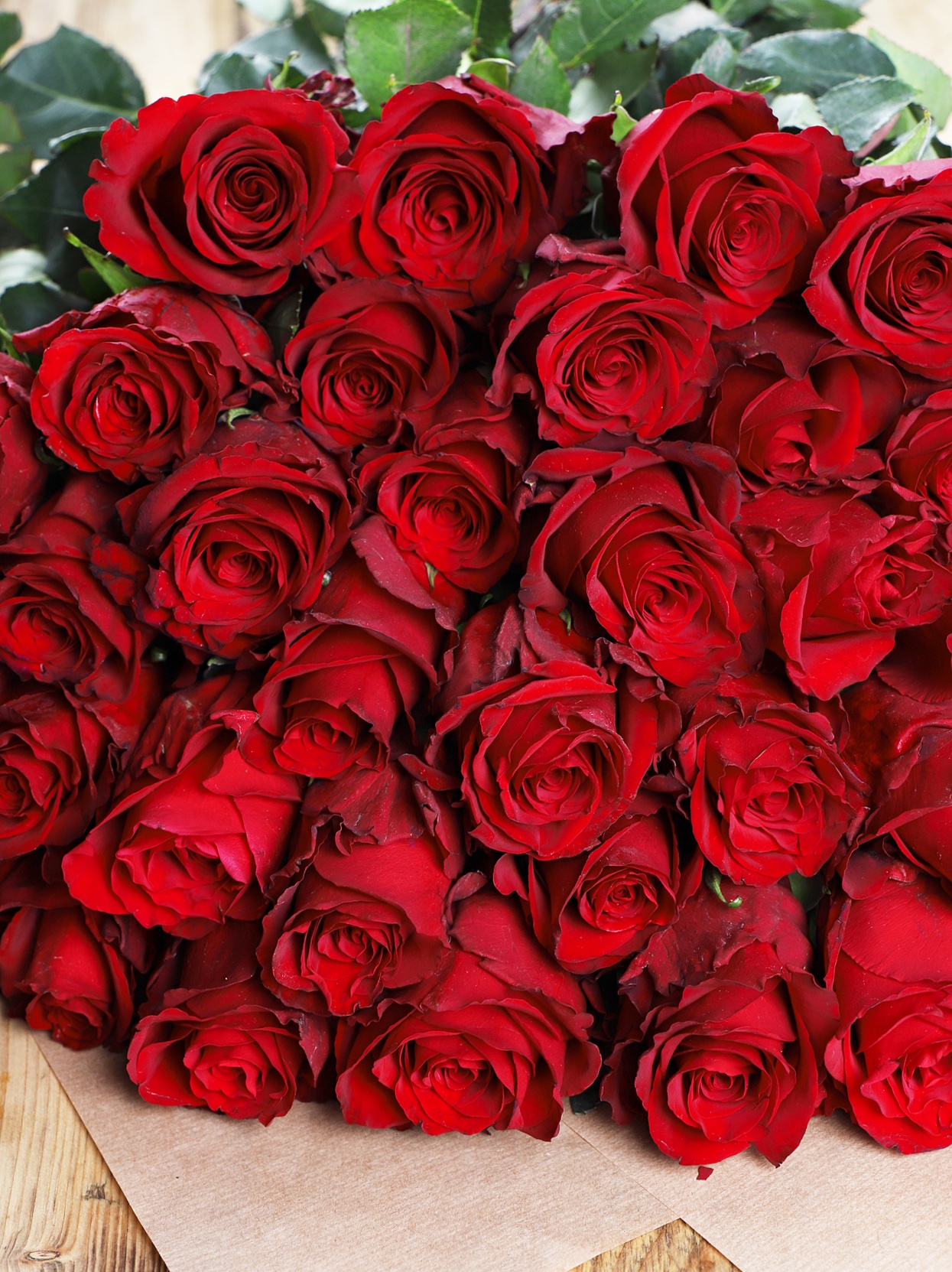 Luxury ‘Explorer’ Ecuadorean Roses Make Every Day Bloom