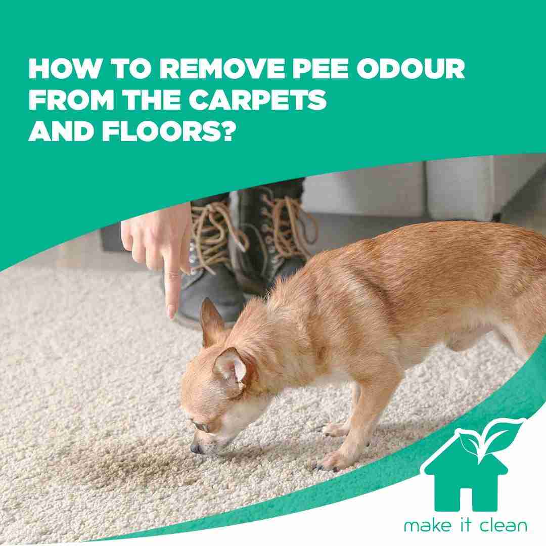 Ultimate Tips For Removing Pee Odor From Floors And Carpets