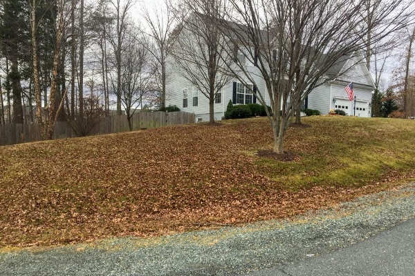 Groundskeeping Pristine Properties in Fredericksburg Virginia