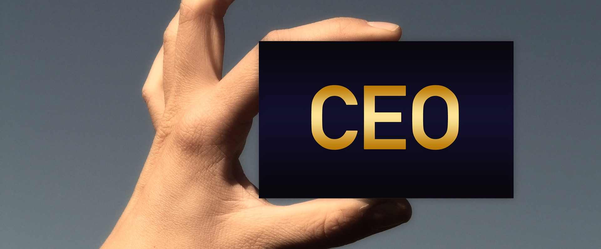 Chief Executive Officer (CEO) Meaning, responsibilities, and more
