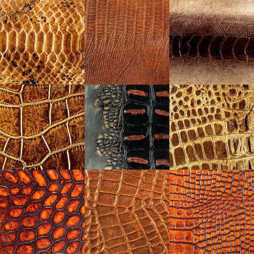 What Is Exotic Leather? Exploring Its Pros and Cons Maker of Jacket