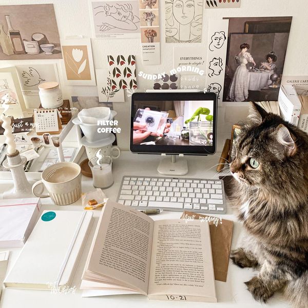 16 Best Desk Setups from Study with Me Content Creators