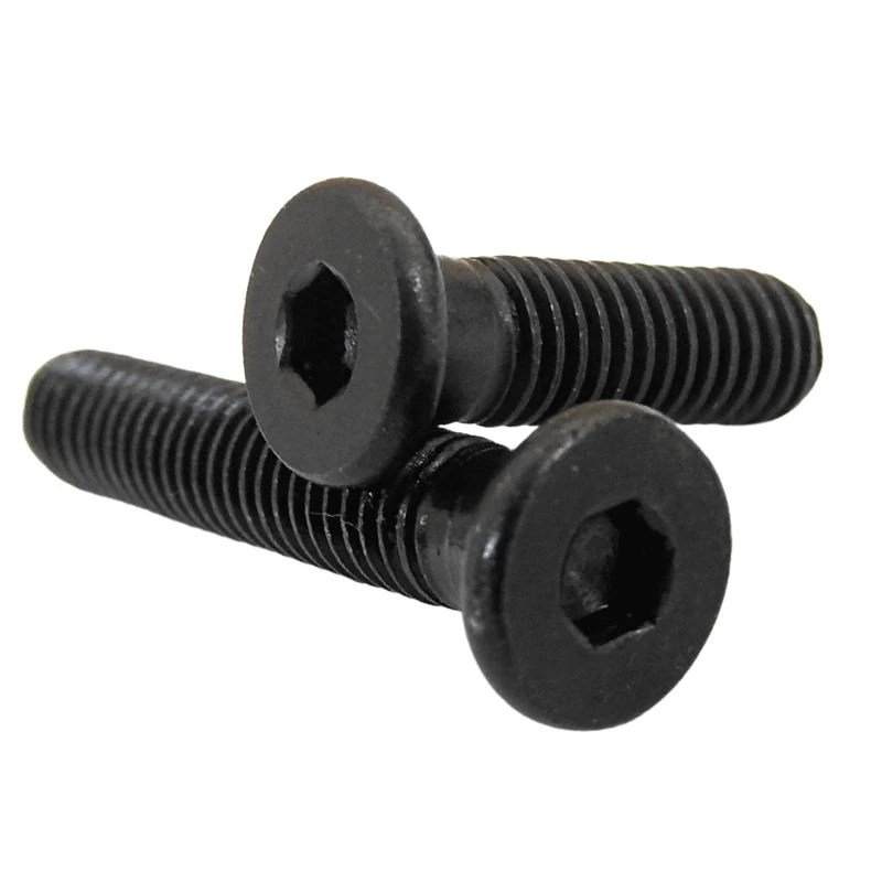 M5 Low Profile Screws 10 Pack