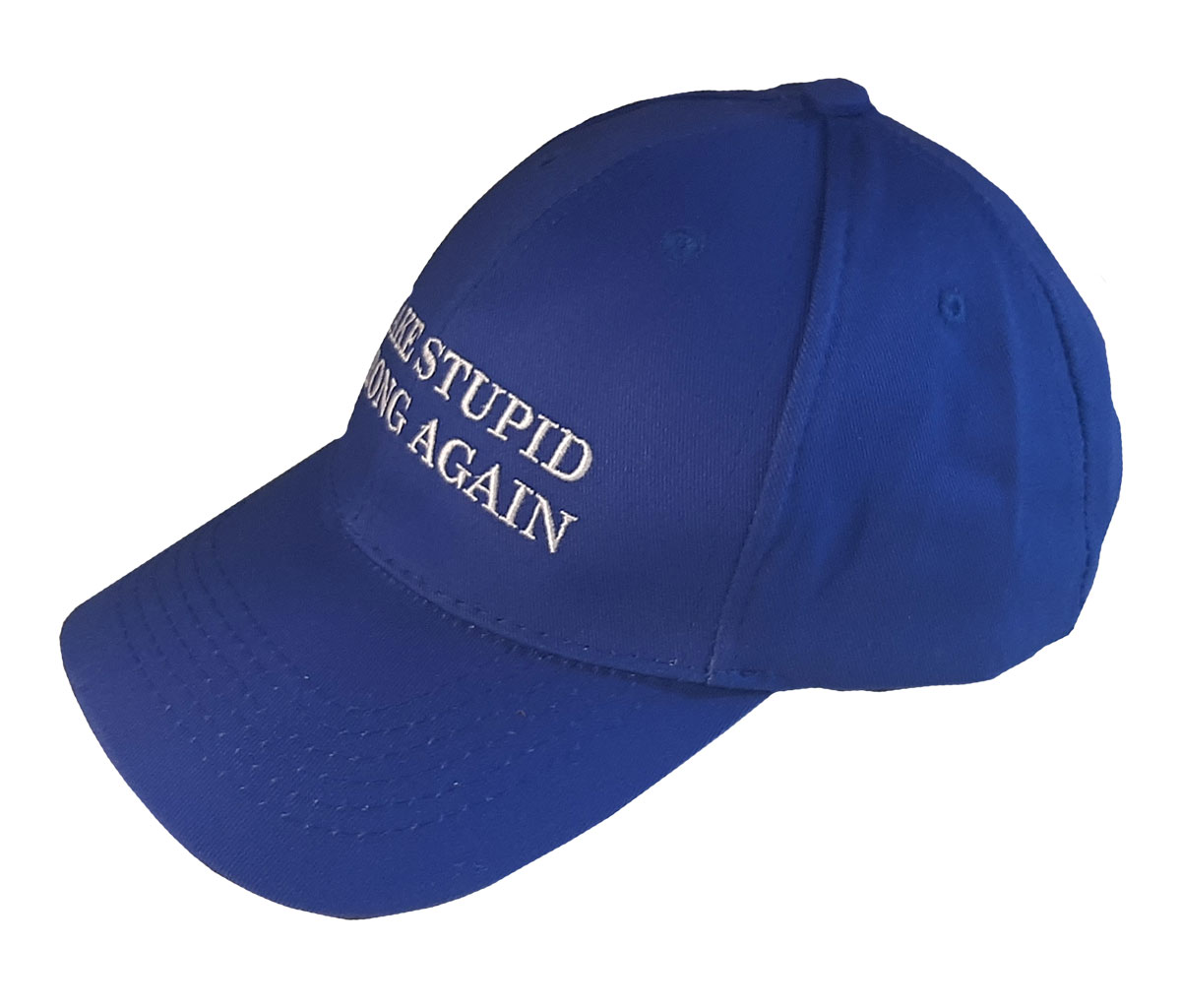 MAKE STUPID WRONG AGAIN™ Join the fight against ignorance and intolerance