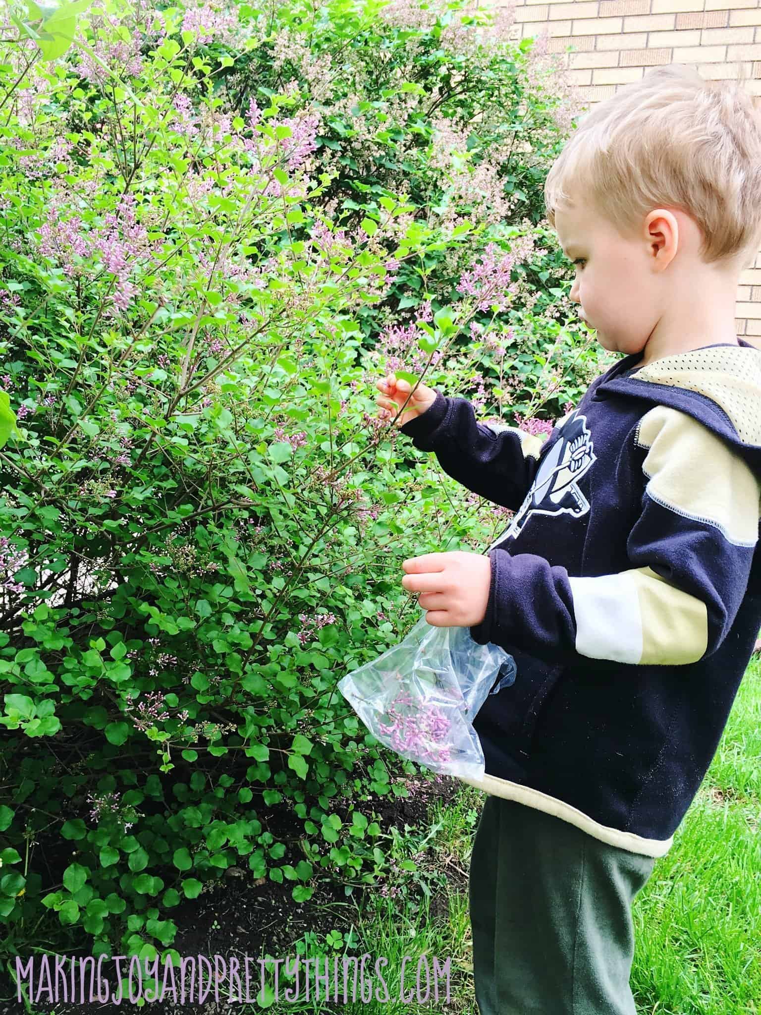 DIY Pressed Flower Suncatcher Craft Making Joy & Pretty Things