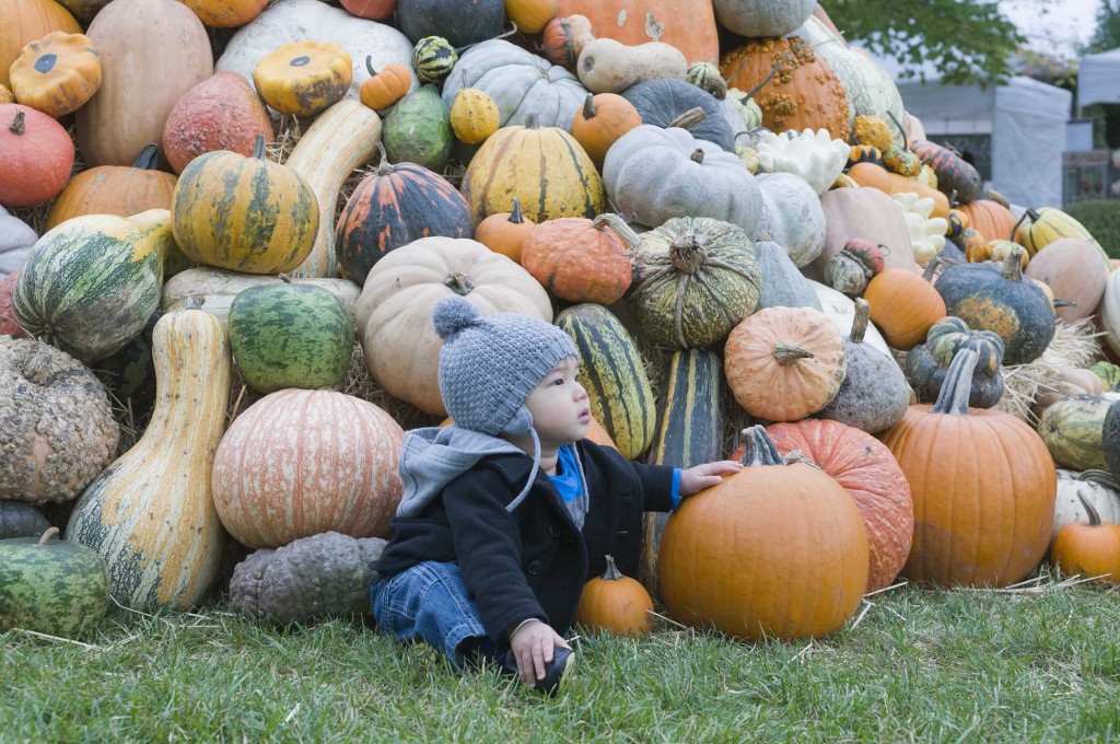 Fall Archives Making Time for Mommy