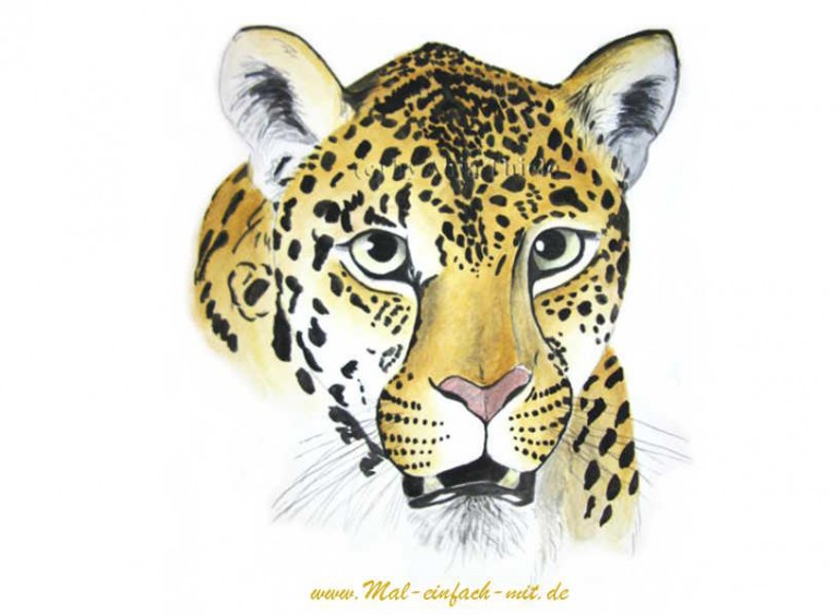 Jaguar zeichnen und malen mit Aquarell Maleinfachmit