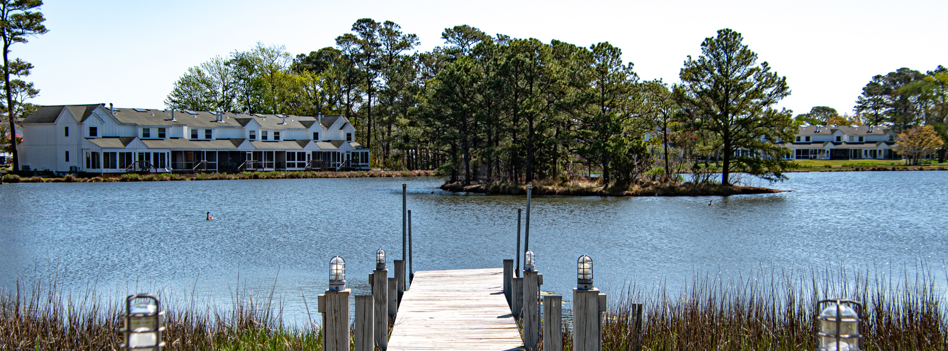 Mallard Lakes Condominium Association