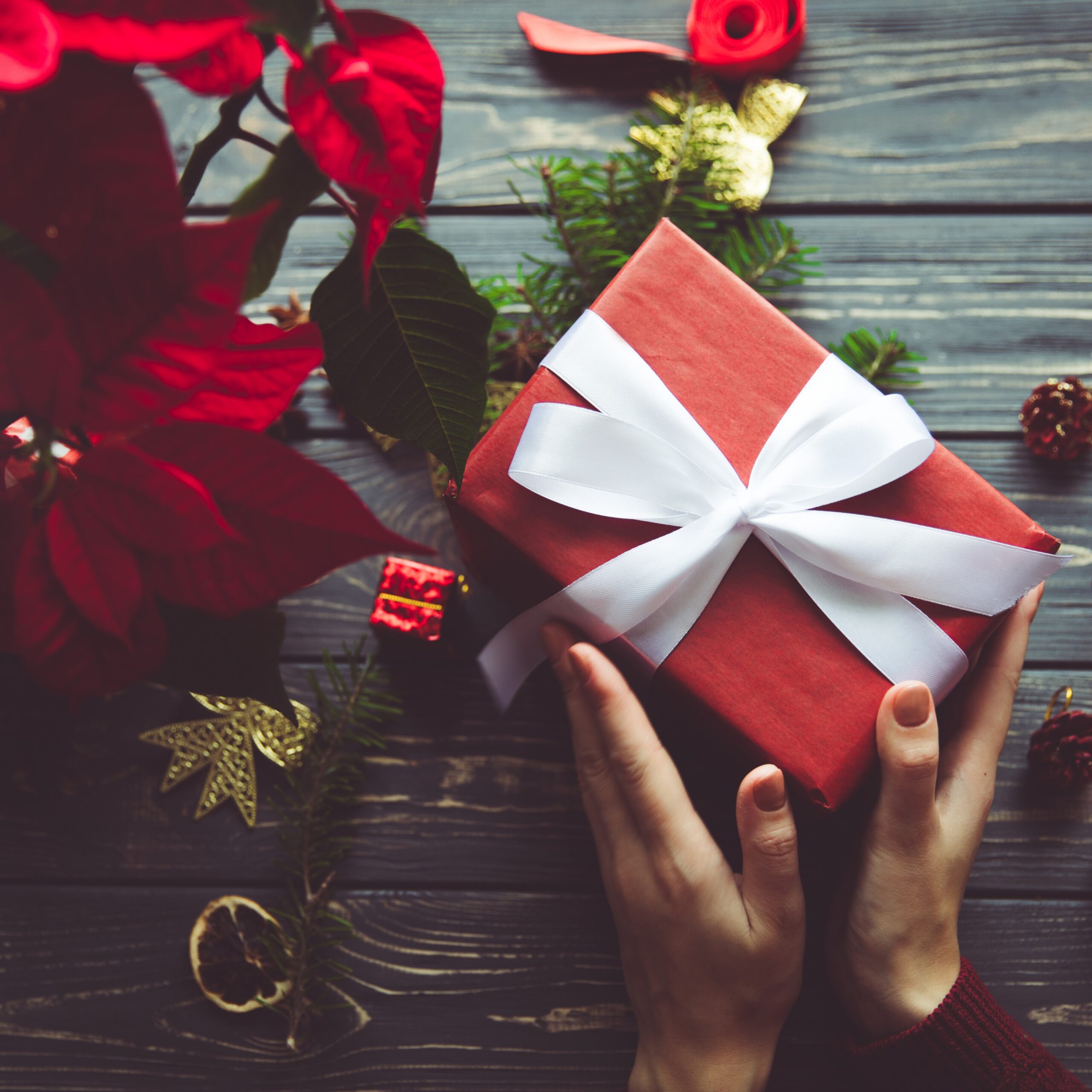 Preorder Christmas Flowers with Mallow Flowers Parkwest Flowers Mallow