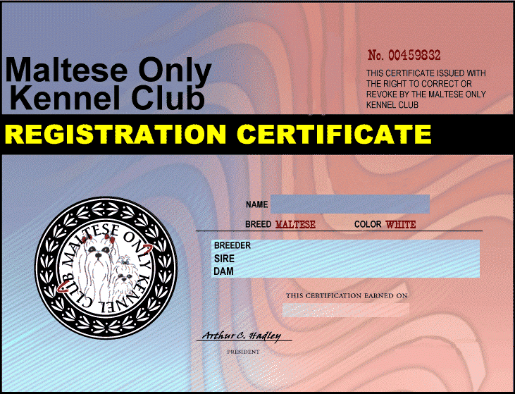 Maltese dog Registration Certificate