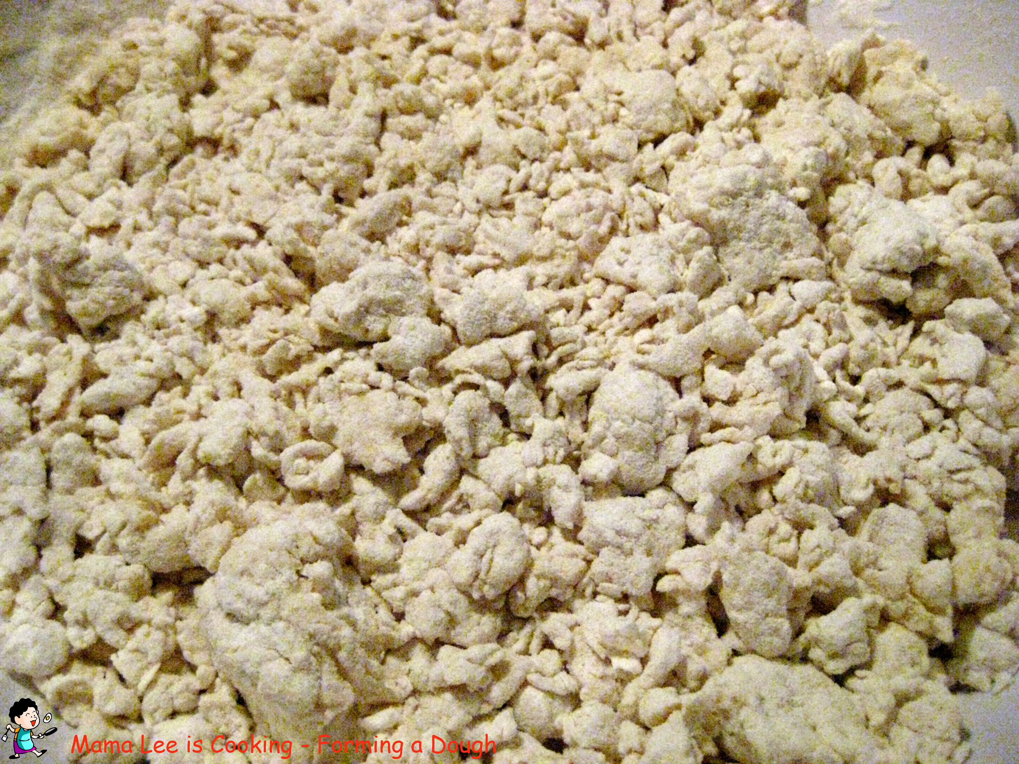 Pan Fried Flat Bread with Seasoning Mama Lee is Cooking （咱家小饭桌）