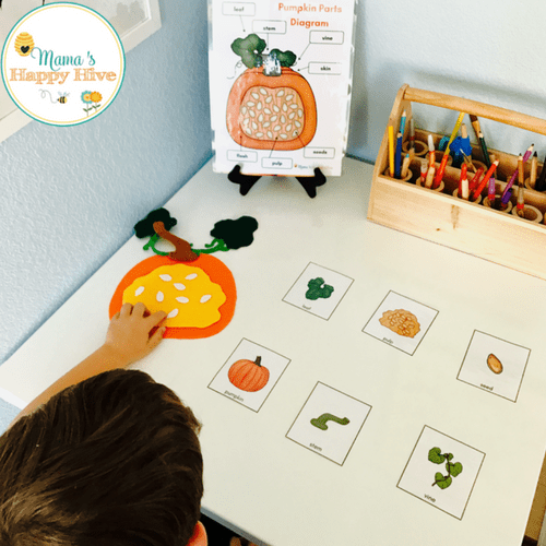 DIY Felt Pumpkin Parts and Life Cycle with Printables