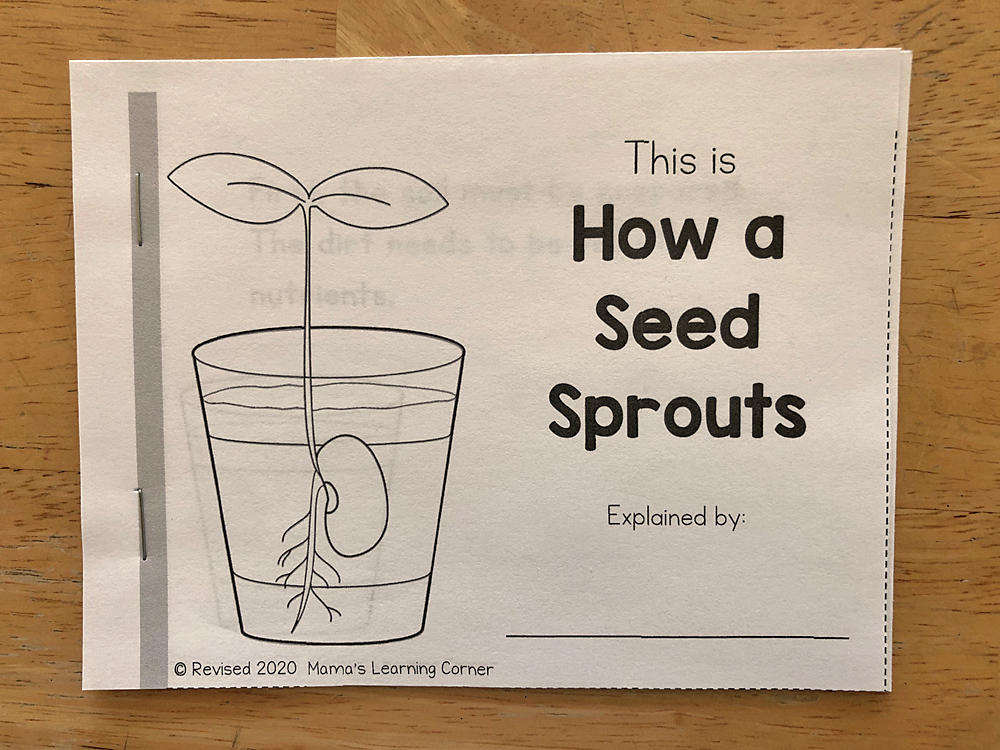 Seed Writing Activities Mamas Learning Corner