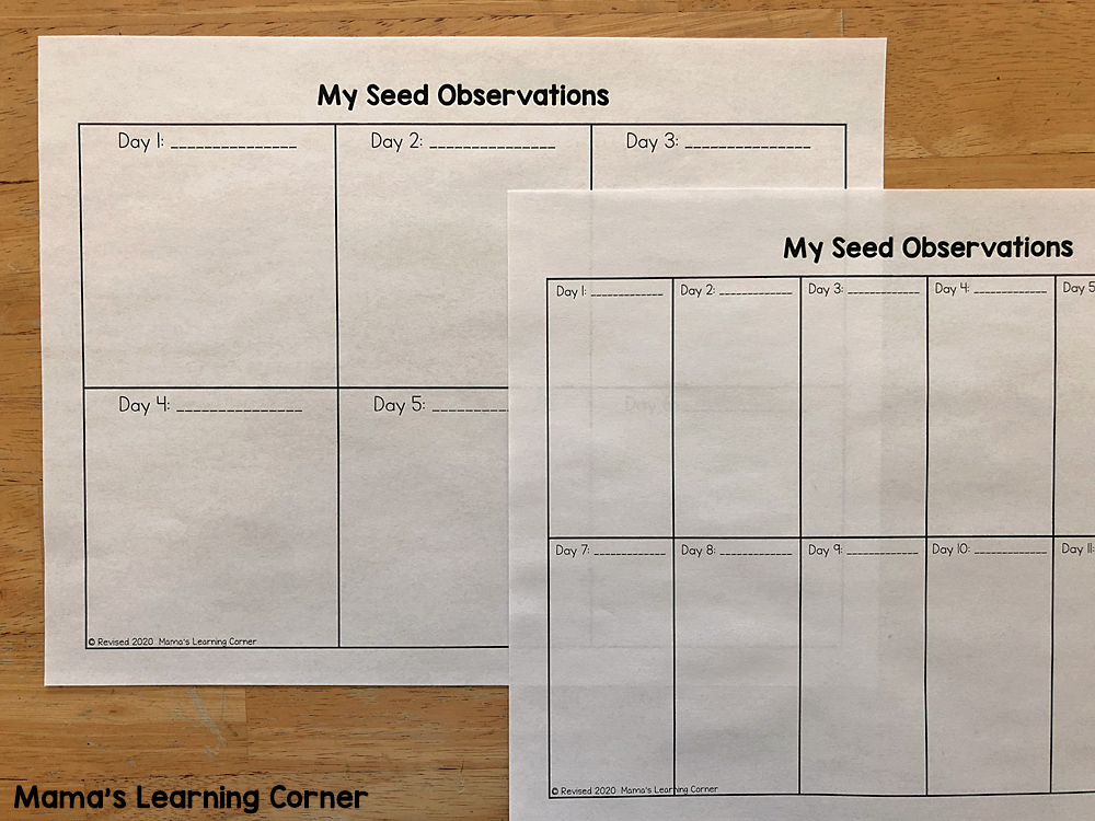 Seed Writing Activities Mamas Learning Corner