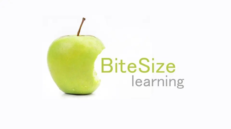 What is bite sized learning? Manaarah