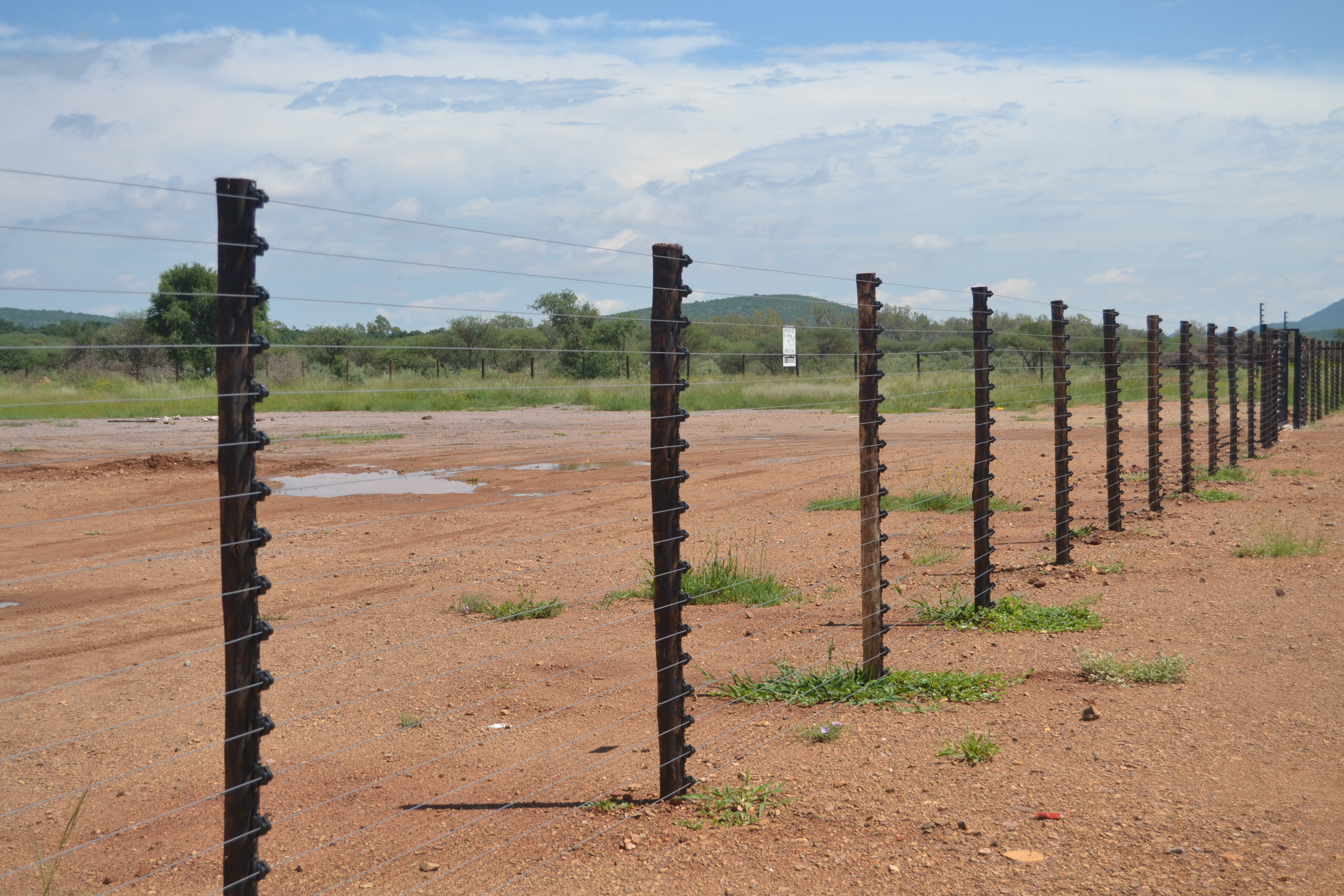 Freestanding E/fence Manase