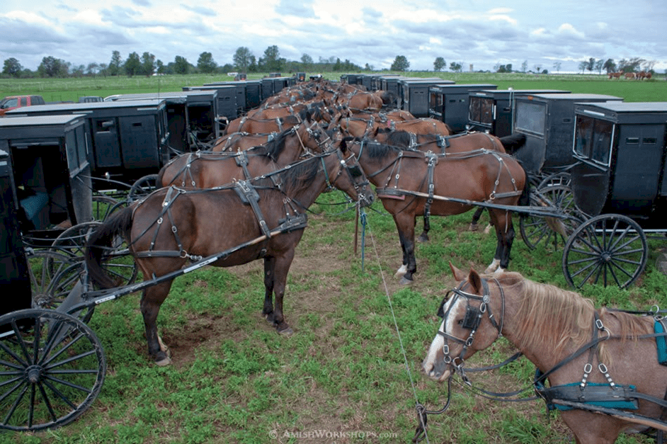 Mancan Staffing Search Jobs in Millersburg, OH