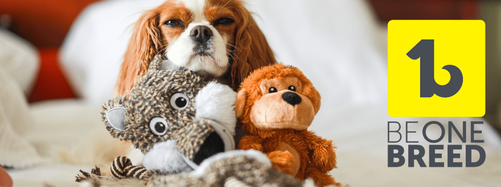 Manchester Pet Supplies Manchester Pet Supplies