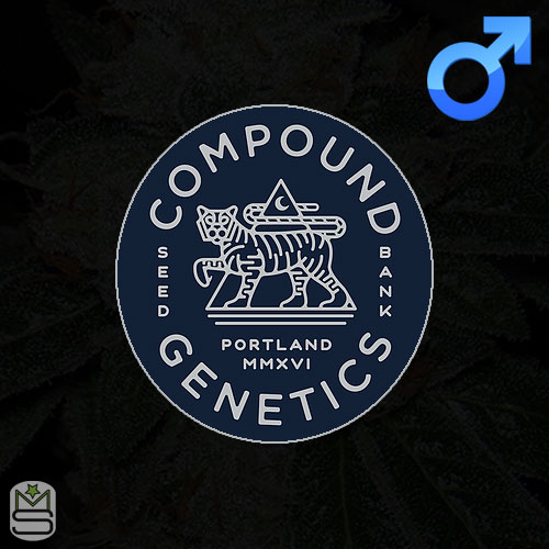 Compound Apricot Moonshine Manchester Seed Bank & Head Shop UK