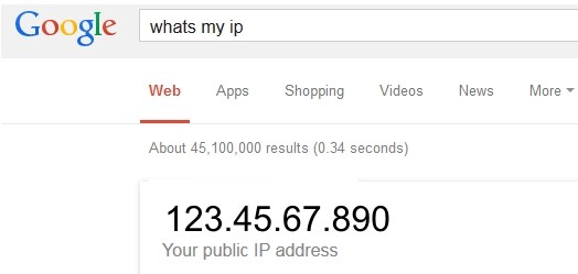 Determining Your Public IP Address