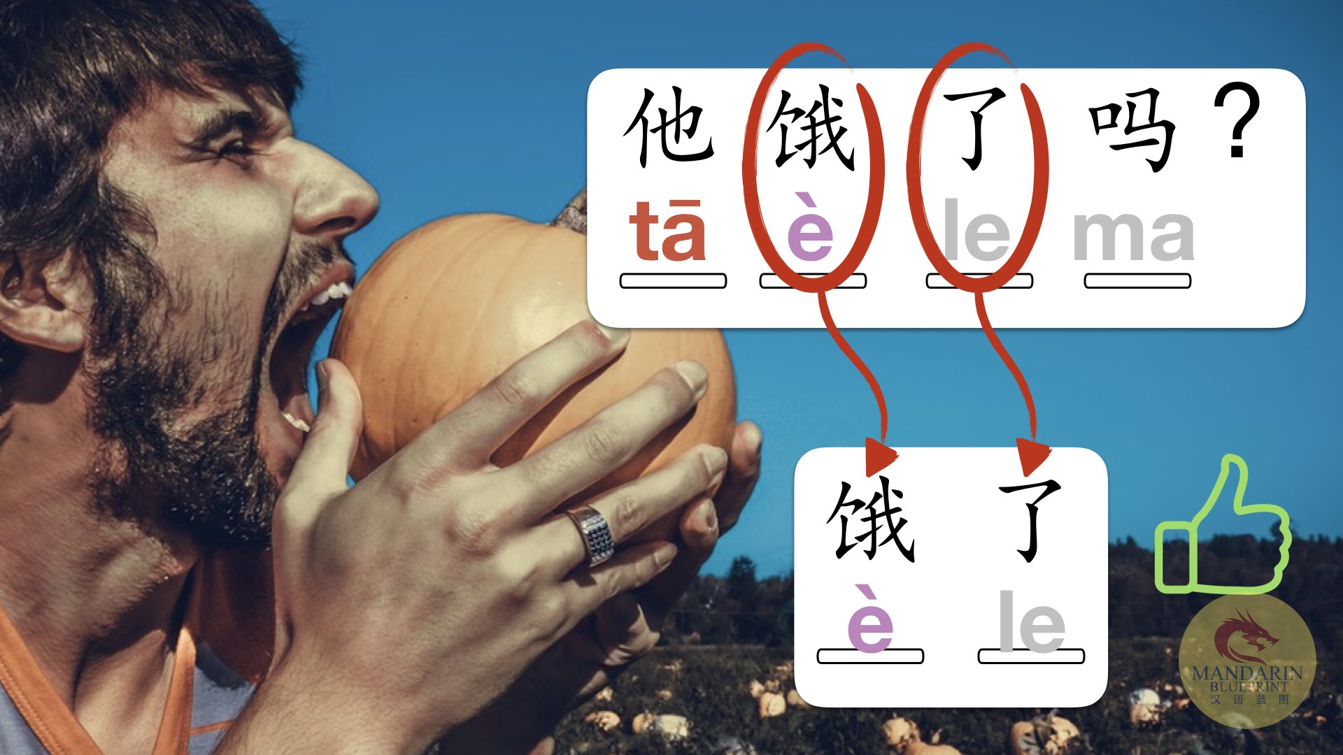 Guide to the Chinese Letter 'E' Mandarin Blueprint