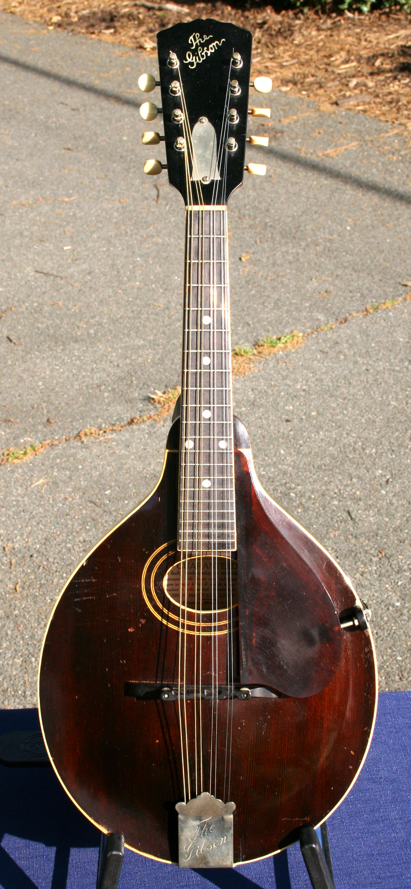 Gibson mandolin serial number lookup sosafrican
