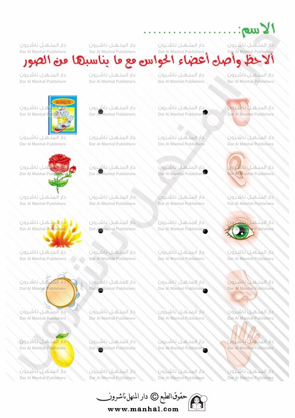 علوم Kg2 Archives أوراق عمل للأطفال شيت زون