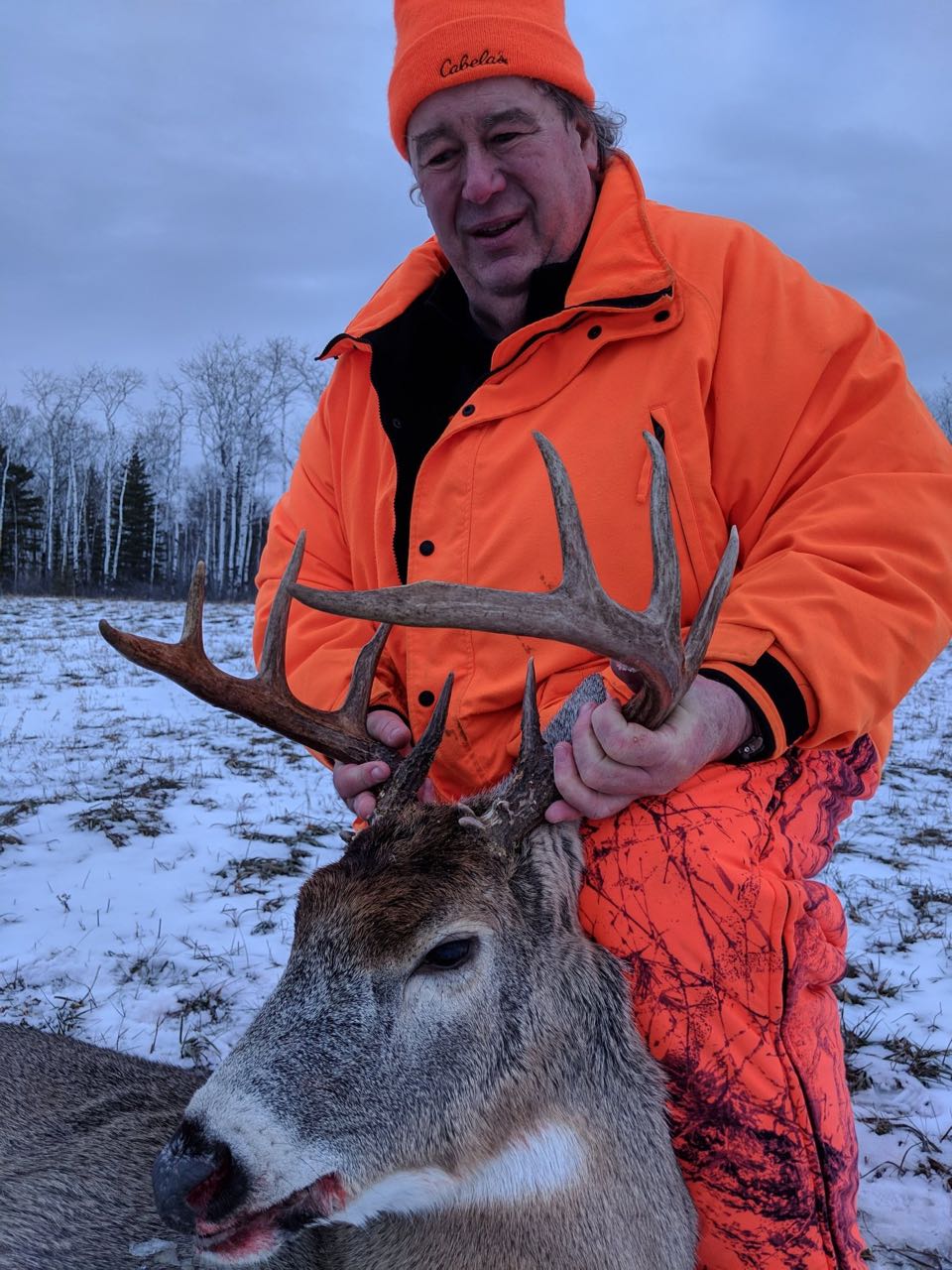 Gallery2 Manitoba Trophy Black Bear, Wolf and Whitetail Deer Hunts