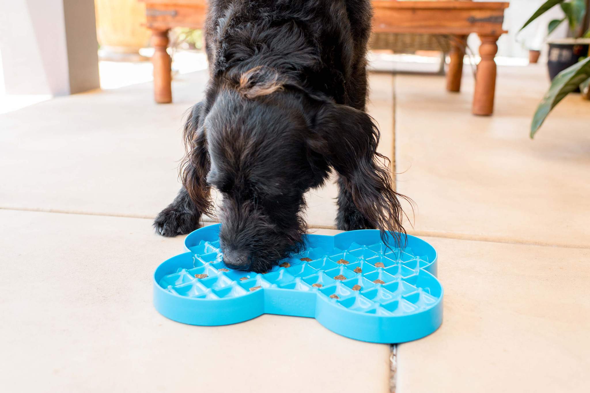 SLODOG SLOW FEEDER PLATE Manners 'n' More