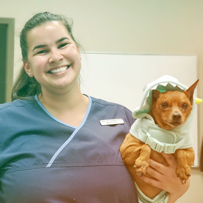 Animal Pet Hospital Modesto Ca To American Pet Hospital Gp