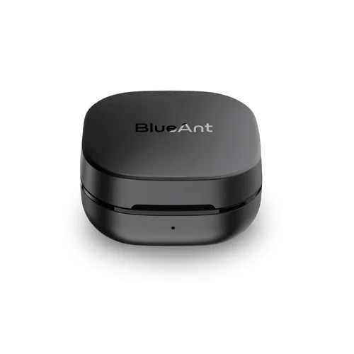 User manual BlueAnt Pump Air ANC (English 24 pages)