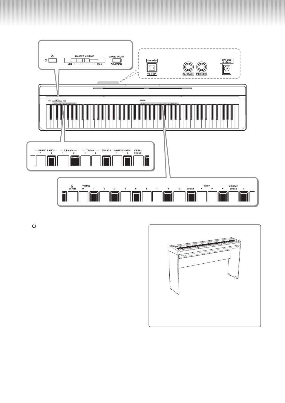 Introduction, Panel controls and terminals | Yamaha P-45 User Manual