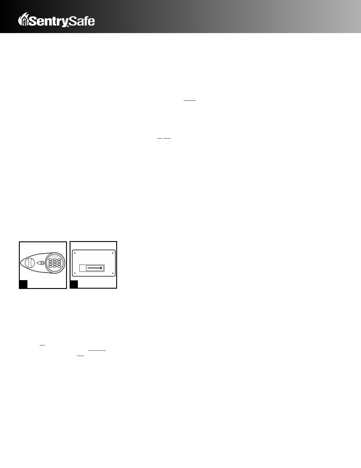 How To Reset Sentry Safe Password