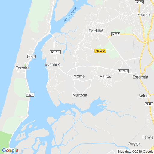 Monte, Concelho de Murtosa Mapas, Tempo, Notícias, Hotéis, Fotos, Vídeos