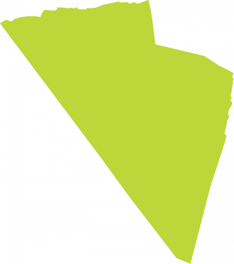 Randolph Community Wellness Plan MAPC