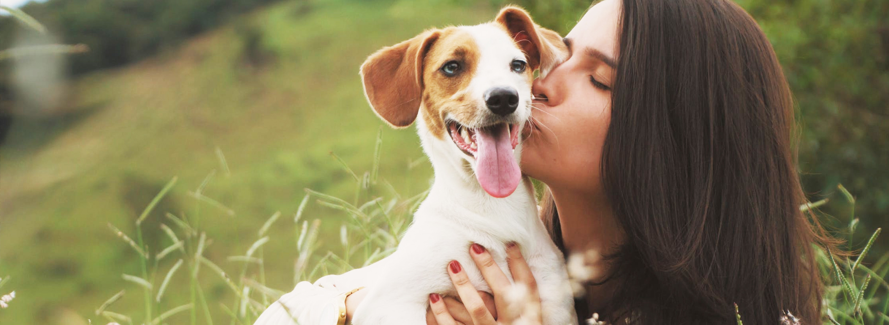 News Mid America Pet Food