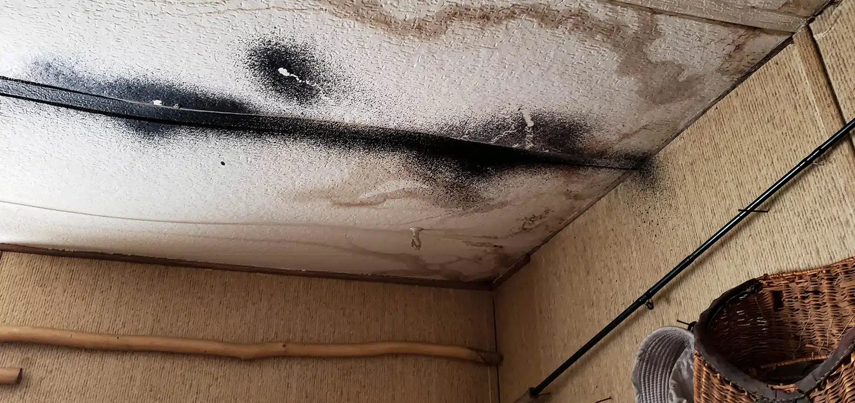 Does Homeowners Insurance Cover Mold? MAPFRE Insurance