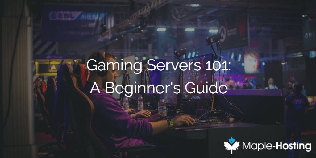 Gaming Servers 101 The Beginner's Guide to Setting up a Game Server